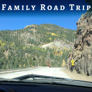 6 Tips for Sanity on a Family Road Trip